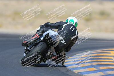 media/May-13-2023-SoCal Trackdays (Sat) [[8a473a8fd1]]/Turn 11 Backside (945am)/